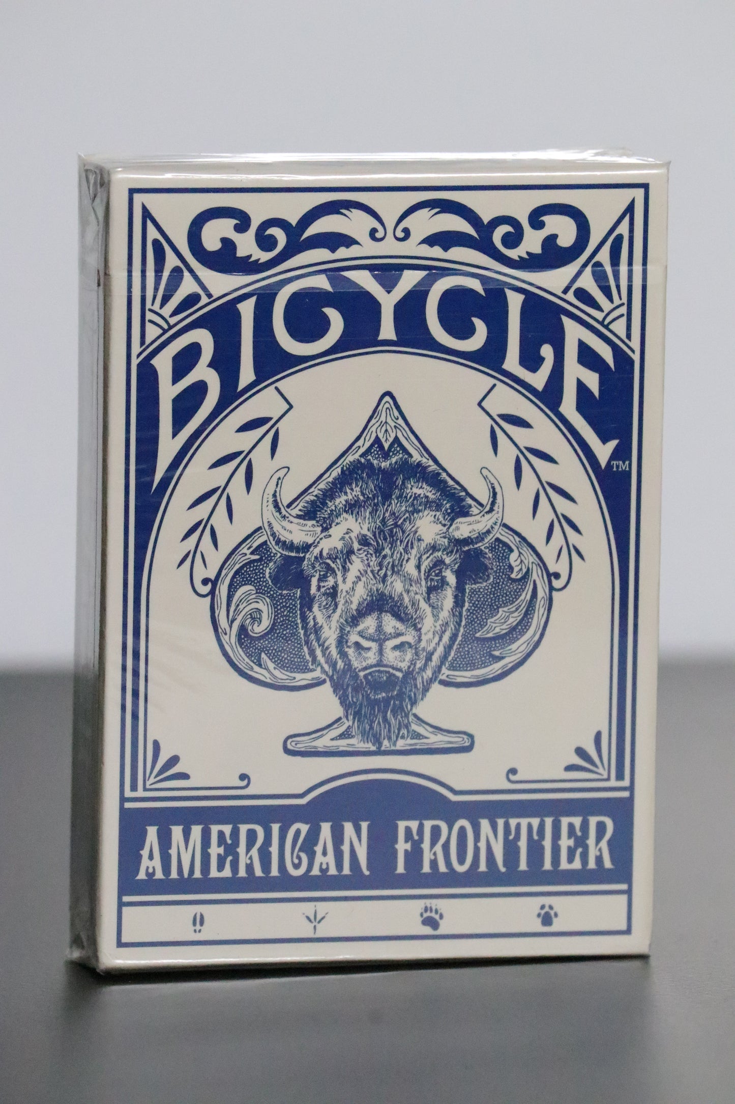 Bicycle Frontier